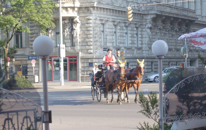 Fiaker an einem Nachmittag in Wien