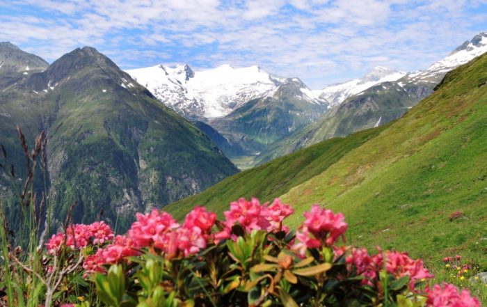 Im Nationalpark Hohe Tauern, Osttirol, Österreich