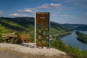 Glorreiche Rheingau Tage