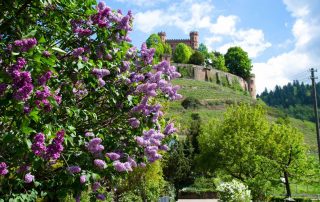 Schloss Ortenberg - Ortenauer Weinpfad - Traumziele in Deutschland