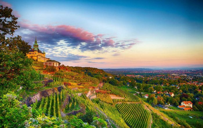 Blick auf Radebeul - Der Sächsische Weinwanderweg - Top-Reiseziele