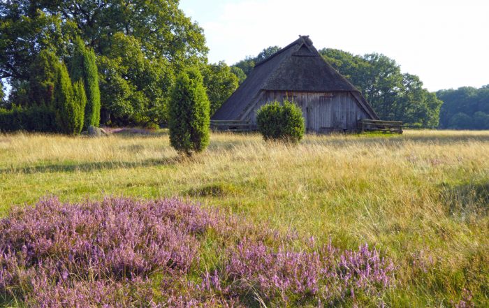 Spätsommer in der Lüneburger Heide