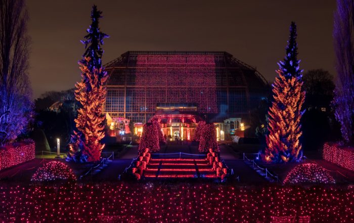 Christmas Garden Berlin