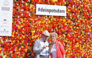 Blumenwand Potsdam - Selfie-Hotspots