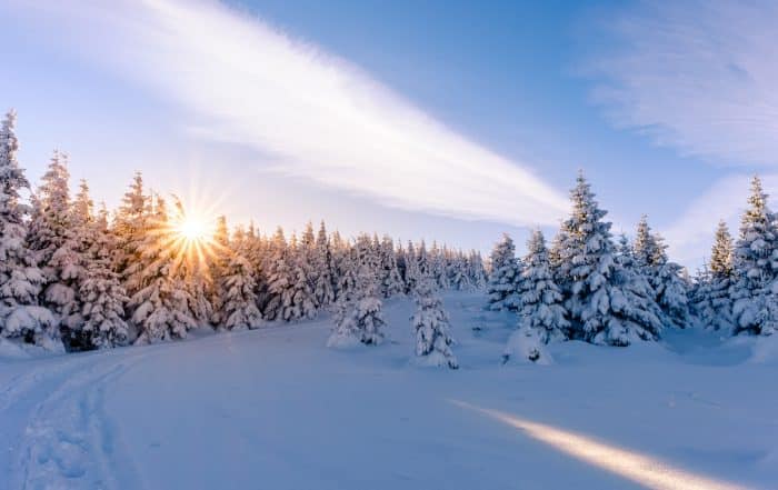 Winterlandschaft im Harz - Winterwanderwege im Harz