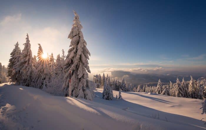 Verschneite Winterlandschaft im Schwarzwald - Winterwanderwege im Schwarzwald