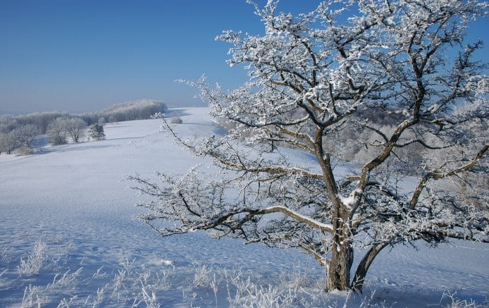 Winterlandschaft auf der Schwäbischen Alb - Winterwanderwege auf der Schwäbischen Alb