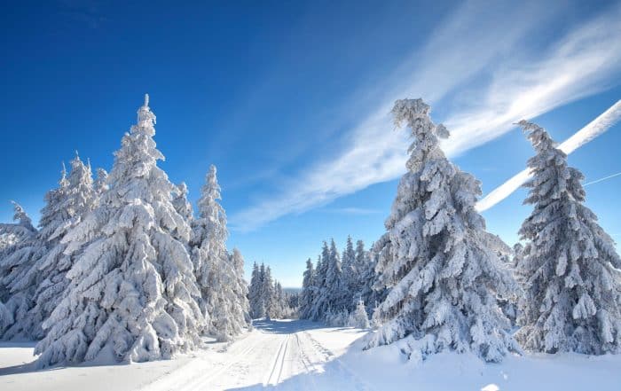 Winterwandern im Harz - Winterwanderwege im Harz - Winterzauber