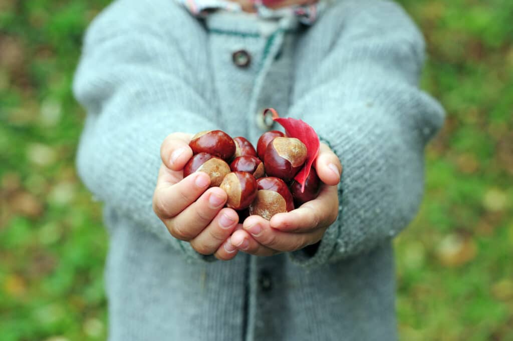 Endlich! ist es wieder Herbst