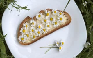 Gaensebluemchen-Brot - Frühlingsgerichte