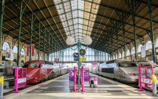 Bahnhof in Paris auf 2 Gleisen stehen Züge.