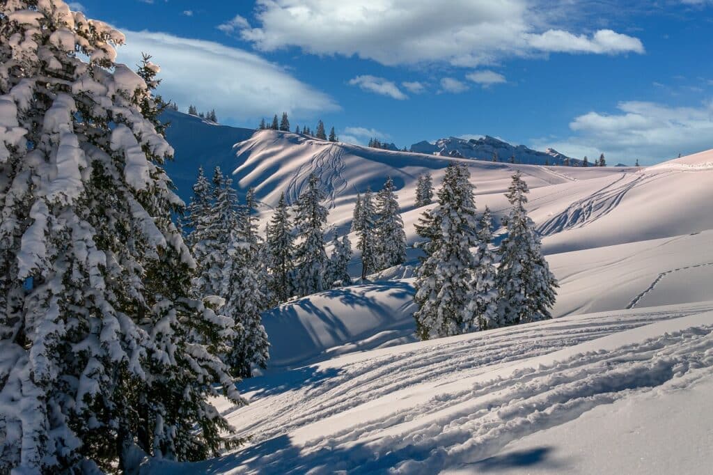 Verschneite Winterlandschaft im Zillertal mit Skispuren im tiefen Schnee