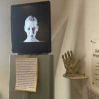 MuSeele-Physiognomie