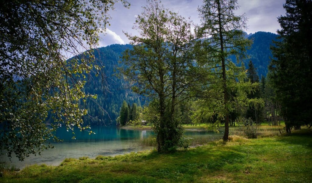 Klarer Bergsee mit gründem Wald in Südtirol im Sommer