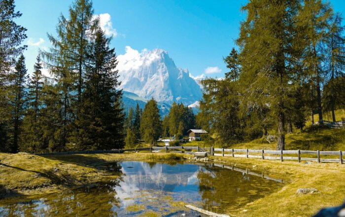 Blick über ein klares Gewässer das von Nadelbäumen gesäumt ist auf eine Bergspitze im Hintergrund bei blauem Himmel