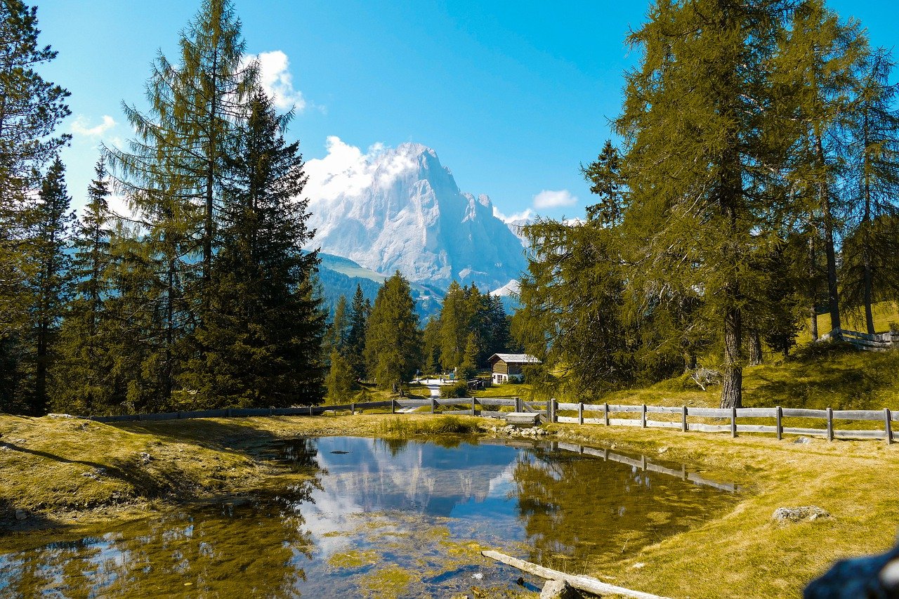 Blick über ein klares Gewässer das von Nadelbäumen gesäumt ist auf eine Bergspitze im Hintergrund bei blauem Himmel