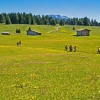 10 Wanderer in 3 Gruppen auf einem Wiesenweg im Sommer im Hintergrund Holzstadl Wald und Berge.