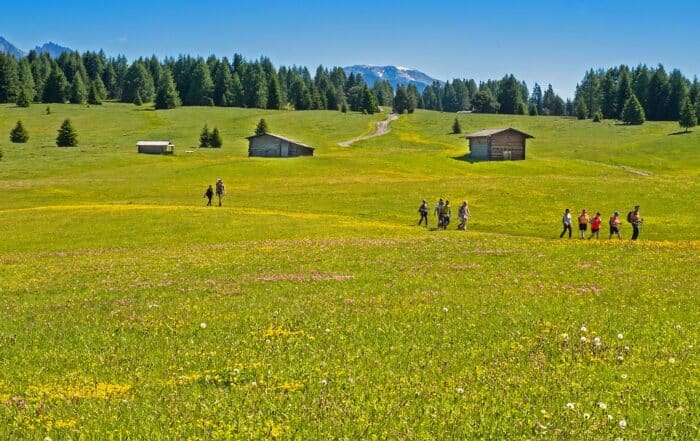 10 Wanderer in 3 Gruppen auf einem Wiesenweg im Sommer im Hintergrund Holzstadl Wald und Berge.