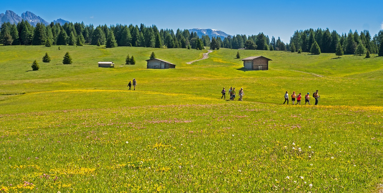 10 Wanderer in 3 Gruppen auf einem Wiesenweg im Sommer im Hintergrund Holzstadl Wald und Berge.