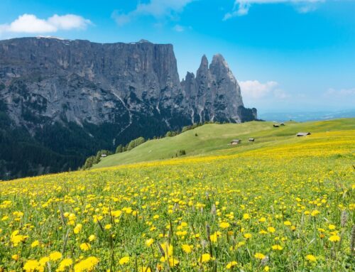 Ferien auf der Seiser Alm: Ein Paradies in den Dolomiten