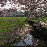 Schlosshotel Münchhausen Aerzen im Frühling