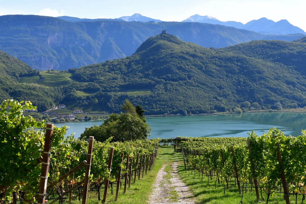 Kalterer See von den Weinbergen aus Fotografiert im Hintergrund bewaldete Hügel mit Burg und Berge