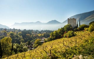 Blick auf den Pulverturm und das spätsommerliche Meran mit Morgennebel