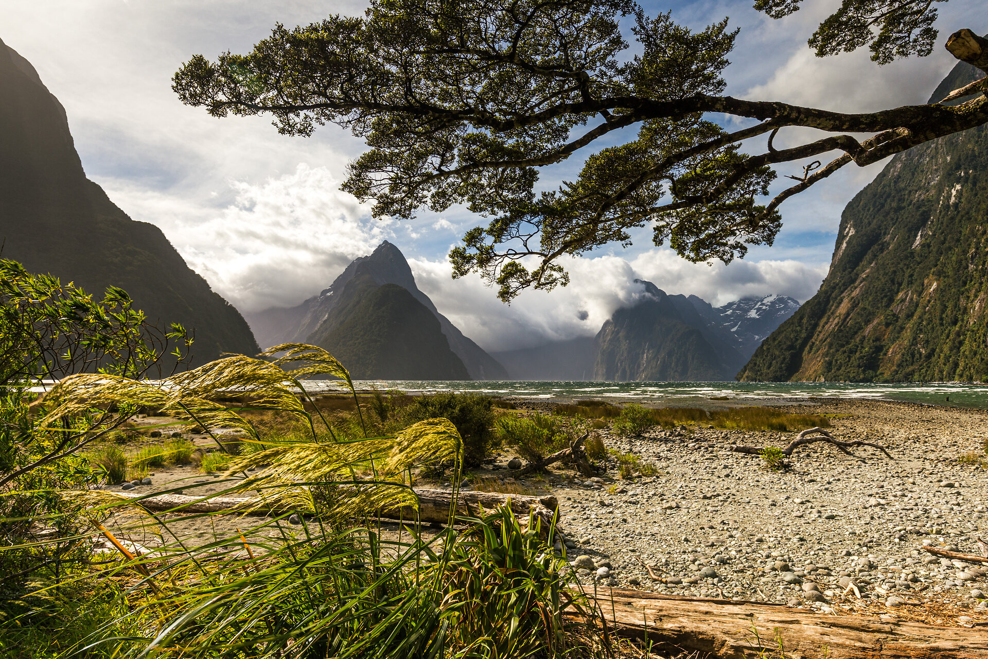 Magic Milford Sound in Sunlight and Wind, South Island, New Zealand