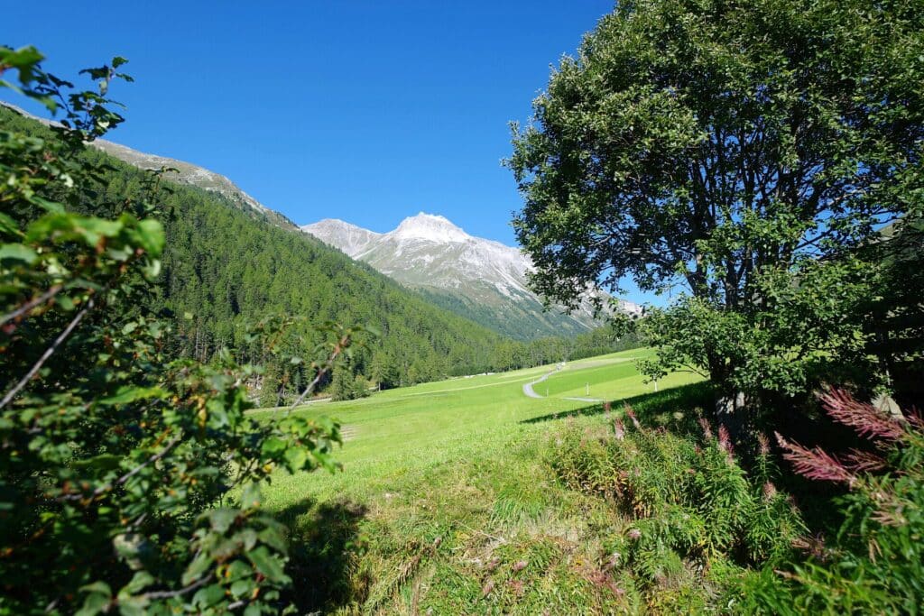 Teerweg schlängelt sich durch Wiesen vor Bergen im Sommer