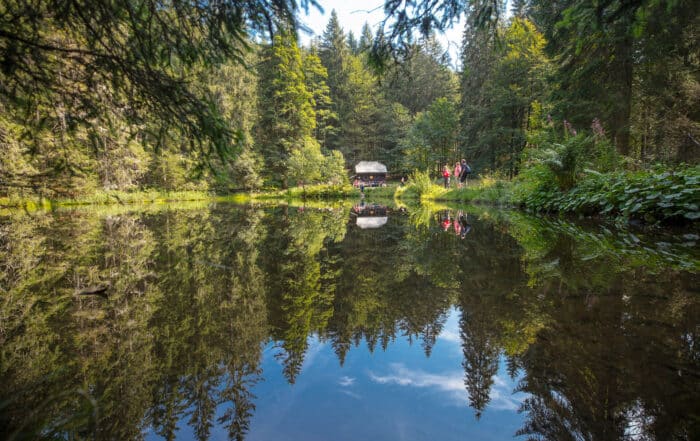 Nationalpark Bayerischer Wald Höllbach Gspreng, Blick über den Waldseeee auf eine Hütte