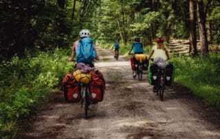 Vier Personen auf dem Fahrrad auf einem Waldweg im Sommer mit Gepäck zum Radwandern