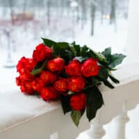 Strauß roter rosen auf einem schneebedeckten weißen Steingeländer vor verschneiter Landschaft