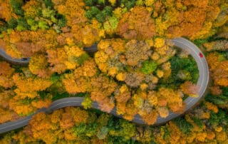 Dronenaufnahme einer kurvigen Straße im Herbst mit farbigen Bäumen von oben