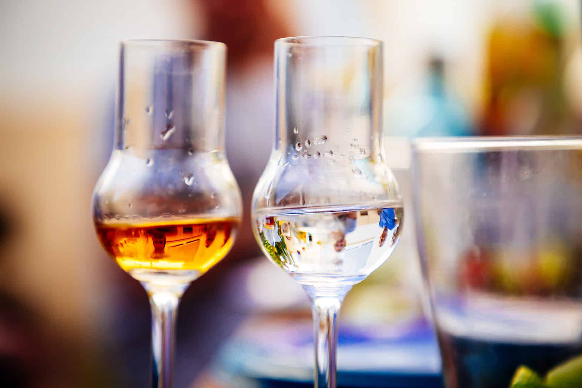 Two grappa glasses with brown and light grappa at a garden party in summer