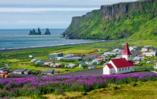 View of basalt stacks Reynisdrangar, black sand beach near Vik and violet lupine flowers and lonely church, South Iceland, summer time