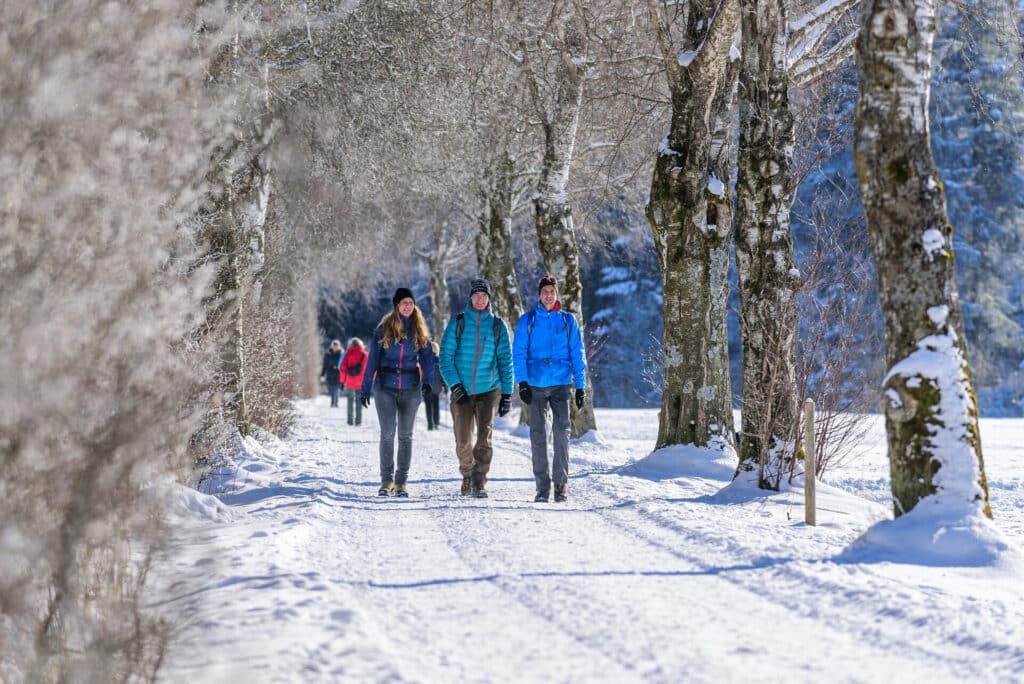 Wandern im Winter: Tipps, um sich gegen die Kälte zu wappnen