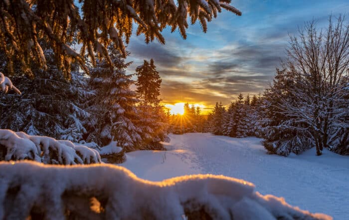 Am Brocken im Winter - Goetheweg