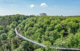 Baumwipfelpfad Usedom Luftaufnahme - Die schönsten Baumwipfelpfade