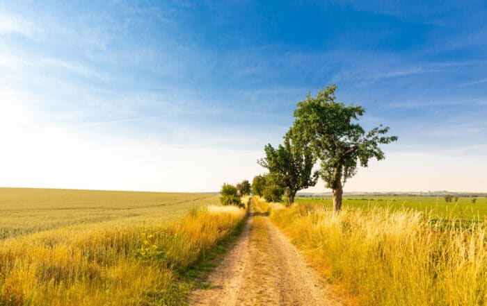 Landschaft im Spätsommer - Wohin im August?