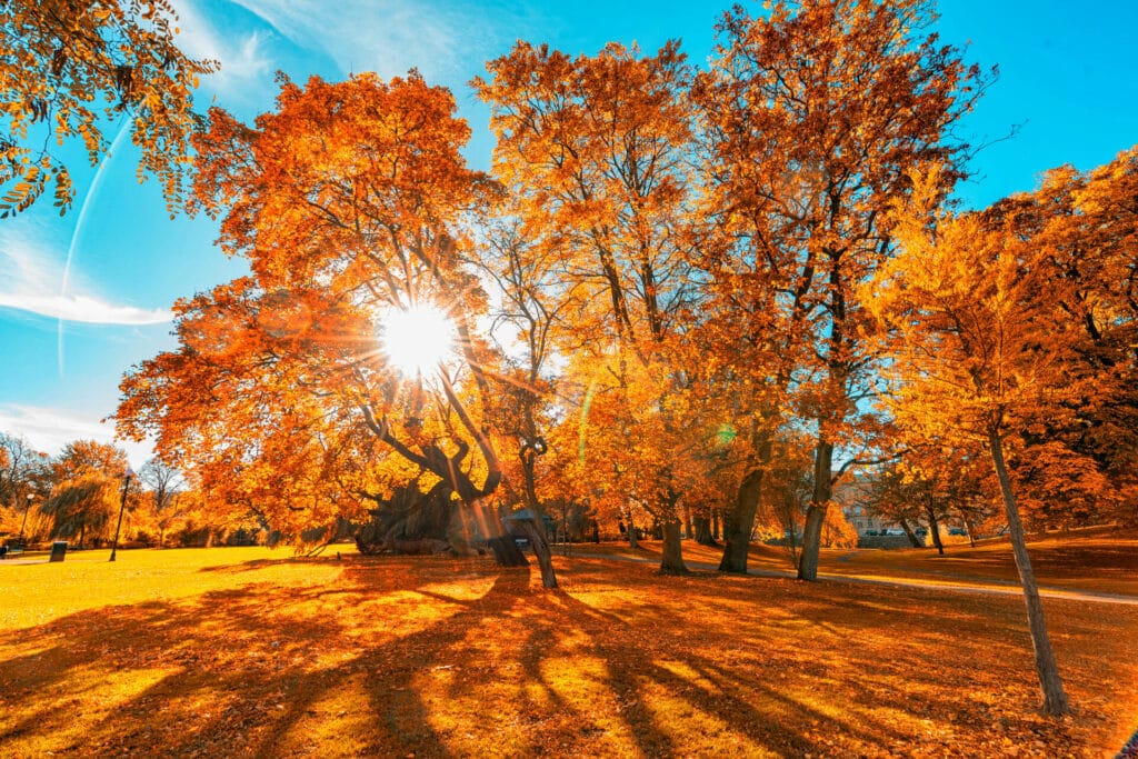 Wohin im Oktober? Reiseziele in der goldenen Jahreszeit