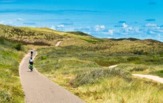 2 Radfahrer auf Radweg über Dünenlandschaft im Sommer